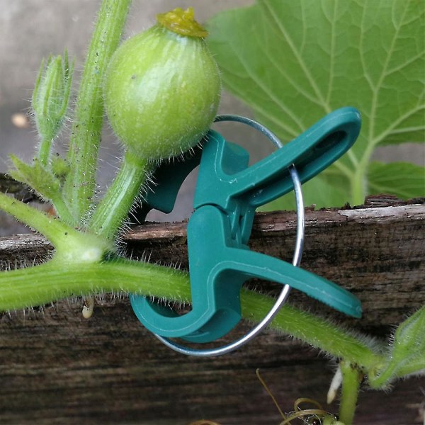40 stk planteclips og tomatclips og hageplanter støtte, planteclips for klatreplanter, vinclips for utretting