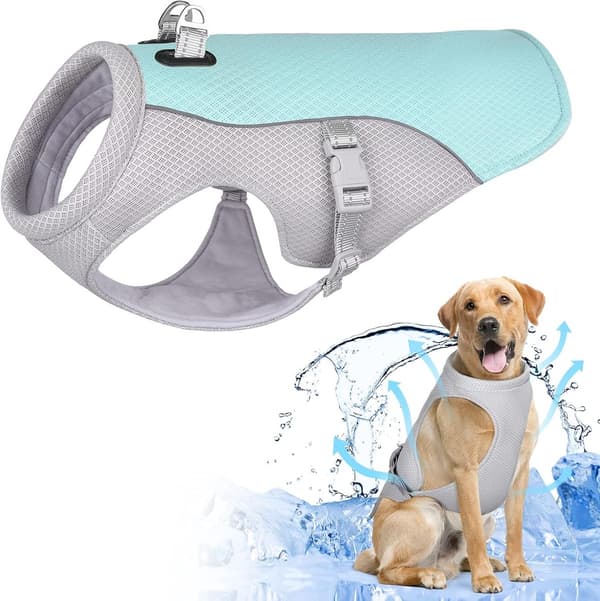 Hundekjølevest, pustende netting, lett, justerbar med refleksstriper og D-ring, for små og store hunder, blå, M