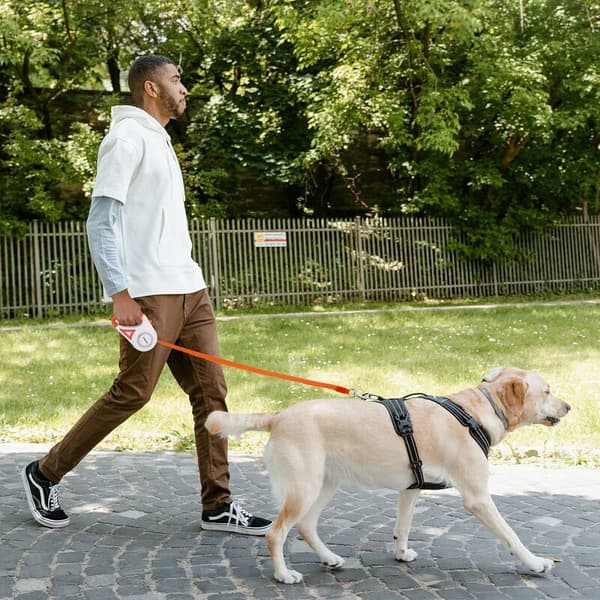 5M automatiskt infällbart hundkoppel: med LED-ljus infällbart Do