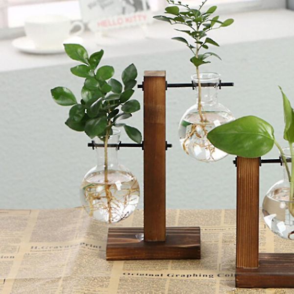 Träram Glas Vas Planter Skrivbord Hydroponics Växt Bonsai Blomkruka
