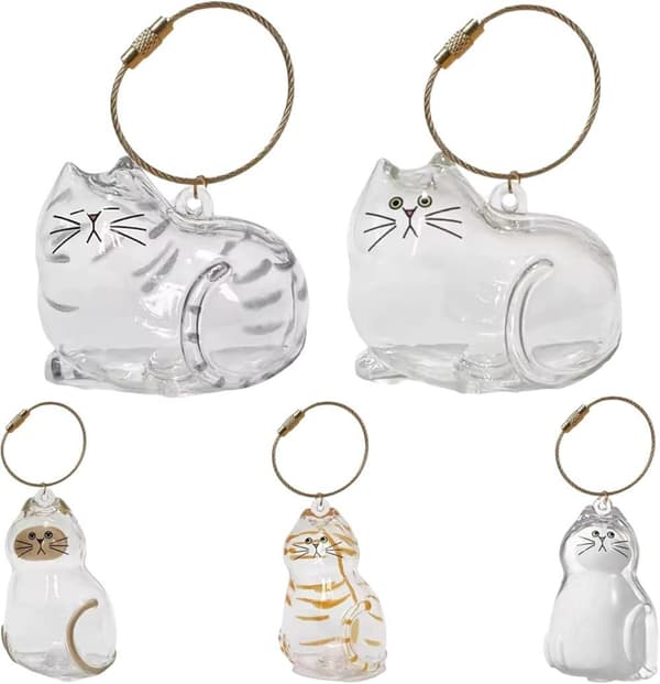 Kattfodral Nyckelring - 5-pack - Transparent - Minnesrelik - Hårförvarare