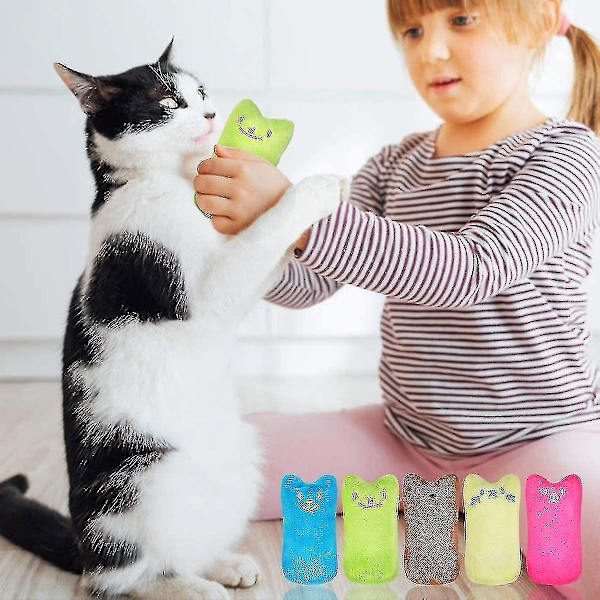 5 st kattmynta plyschleksak, kattmynta leksak valeriana pad katt