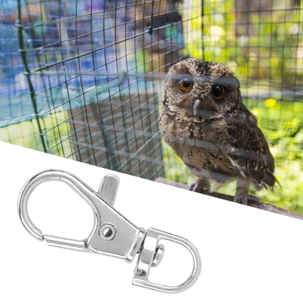 12 st / Förpackning Järn Anti-Rymning Husdjursfågelbur Dörrspänne Lås Klo Trigger Snäppkrok