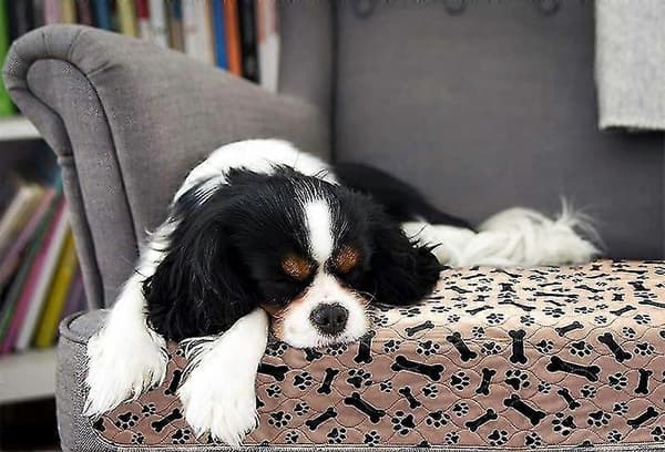 vaskbare tisseunderlag til hunde 80*90cm