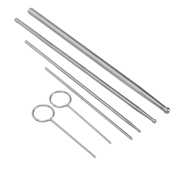 6PCS Ormprobsats Rostfritt Stål Runt Huvud Anti Allergi Reptiler Orm Könsbestämningsprob