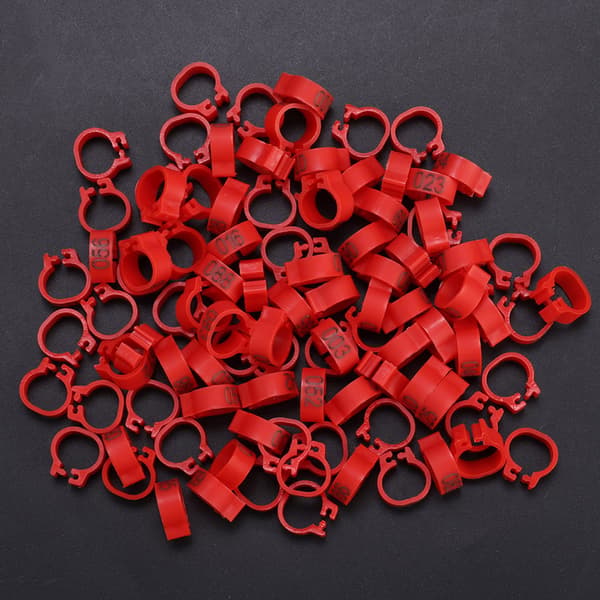 100 st/påse 8MM 001-100 Numrerade plastbrevduva fågelben band ringar (röd)