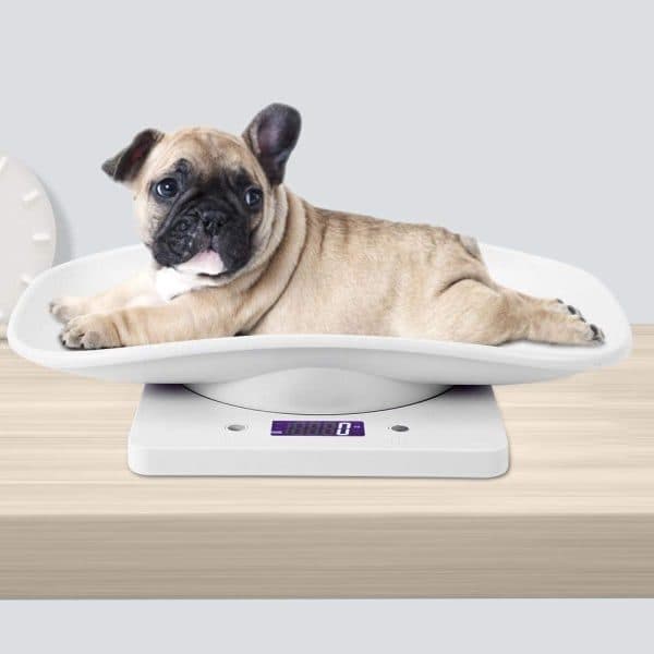 【03】IC 10kg/1g Small Animal Scale Compatible with Accurate Measurement