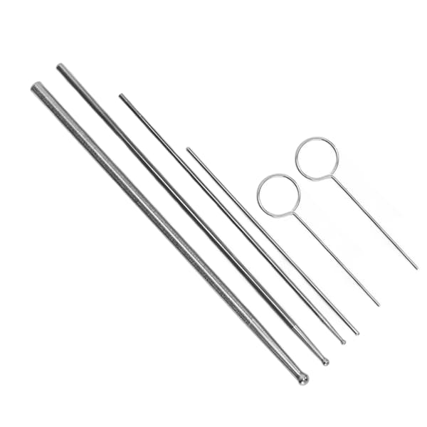 6PCS Ormprobsats Rostfritt Stål Runt Huvud Anti Allergi Reptiler Orm Könsbestämningsprob