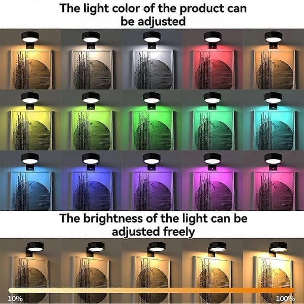 【03】Billedbelysning LED Kunstdisplay Lys Batteridrevet Dæmpbar Maleri Spotlight 13 Belysningstilstande til Malerier color