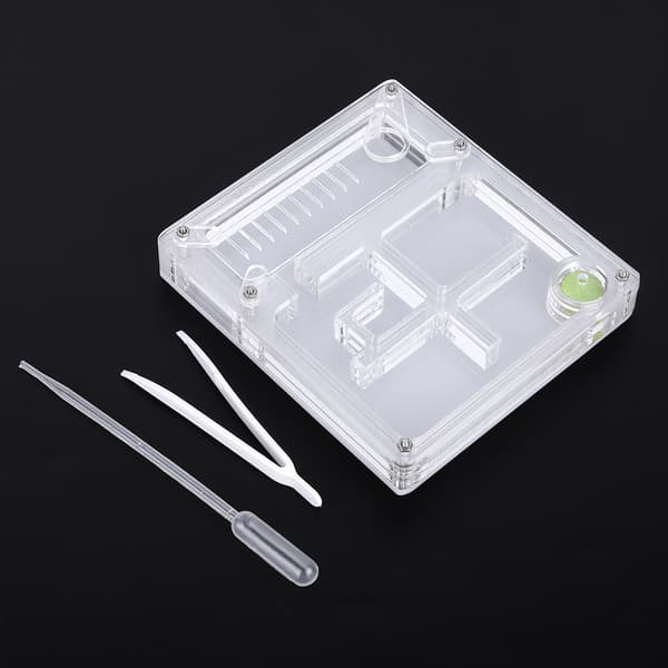 Akryl Transparent Myra Uppfödningshus Bo Formicarium Display Box Dekorativ