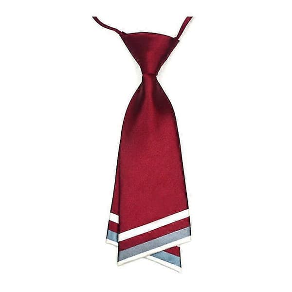 justerbar slips, kostymtillbehör, fluga ränder Red wine