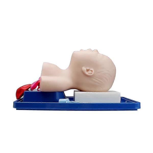 Intubationsdocka studie undervisningsmodell baby spädbarn luftvägshantering tränare medicinsk modell