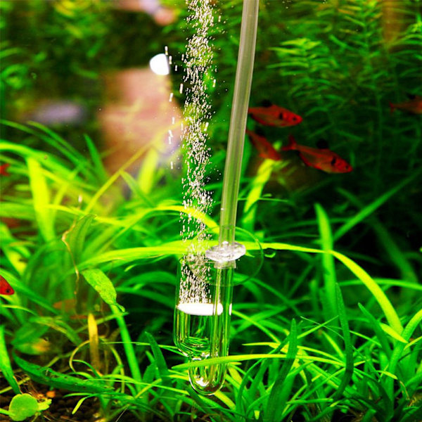 CO2 Høj Transparent Glas Refiner Diffuser Stor Lige Rør til Akvarium Vand Græs Fisketank