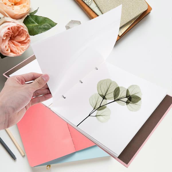 Pressad blomfotoalbum Växtprovsamling Album Löv Växtprovhållare