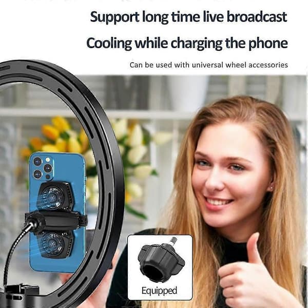 Højkvalitets K4a halvleder køling med dobbelt ventilator sort mobil radiator