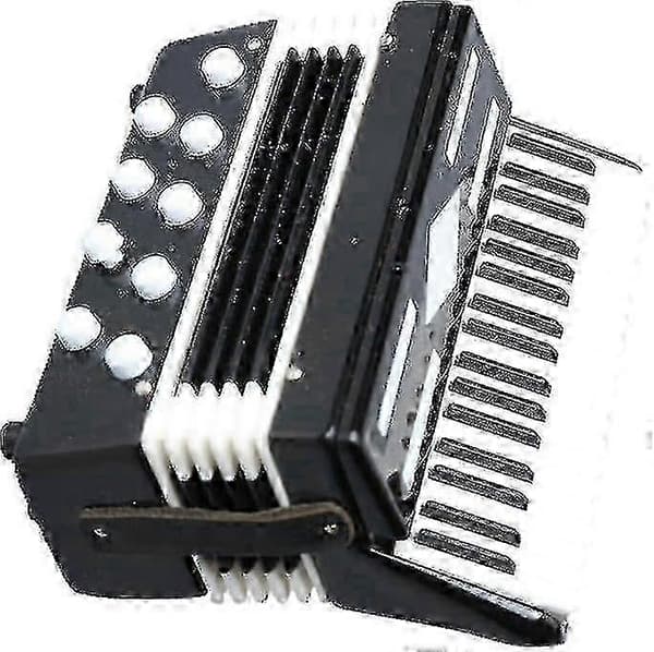 2024 Miniature Harmonika Kopi i Udstillingsboks - Lille Dukkehus Samlerobjekt