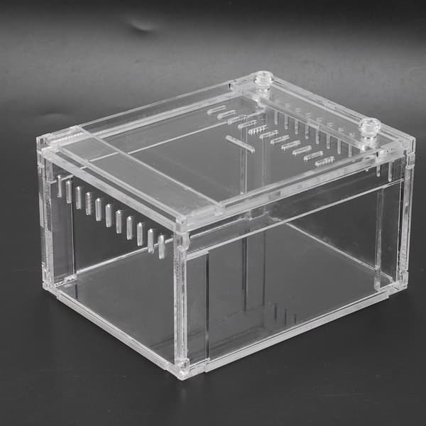 Akryl Transparent Flameer Reptiler Insektstank Uppfödningslåda Husdjur Ormar Sköldpaddor Terrarium