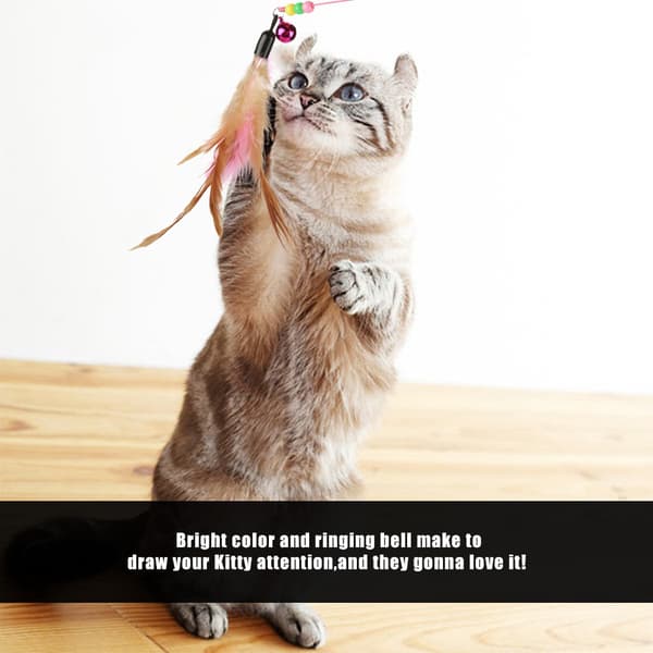Sjov Kat Killing Kæledyr Legetøj Drillepind Fjer Wire Chaser Tryllestav Perler