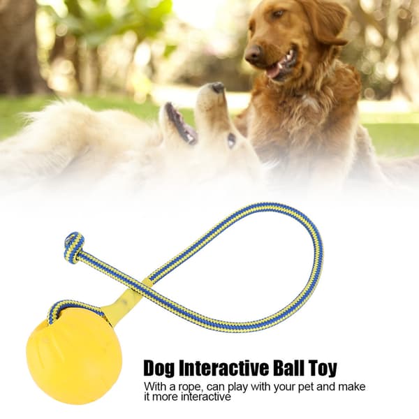 Bärbar EVA Husdjur Hund Träning Bitresistent Interaktiv Tuggleksak Boll med Rep (Gul)