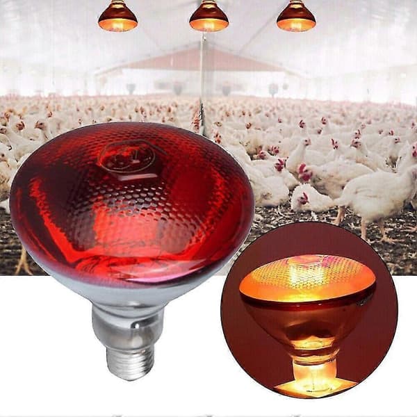 2 kpl punainen lamppu lämpölamppu 150W E27 karkaistu lasi pentu kana 2pcs 150W