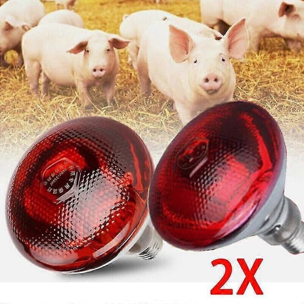2 kpl punainen lamppu lämpölamppu 150W E27 karkaistu lasi pentu kana 2pcs 100W