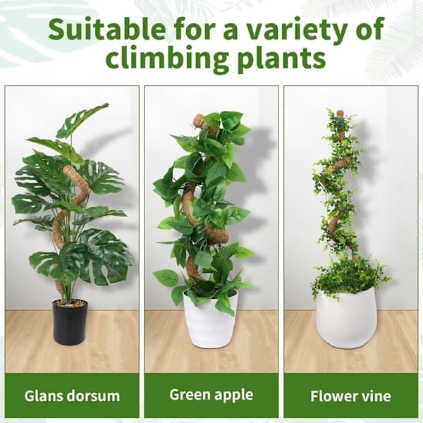 Växtstöd / stödpinne, Böjbar mossstång 70-100cm - Klätterstöd 1/2-pack, för inomhusväxter, murgröna och monstera 100cm-2 st