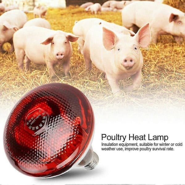 2 kpl punainen lamppu lämpölamppu 150W E27 karkaistu lasi pentu kana 2pcs 100W