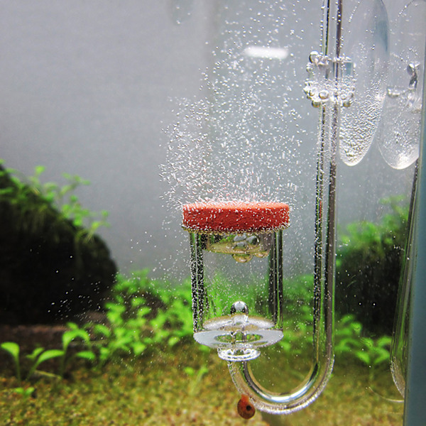 Akryl Akvarium Koldioxid Transparent Bubbelräknare Refiner Fisk Tank Vattenväxter CO2 Atomizer DiffuserM