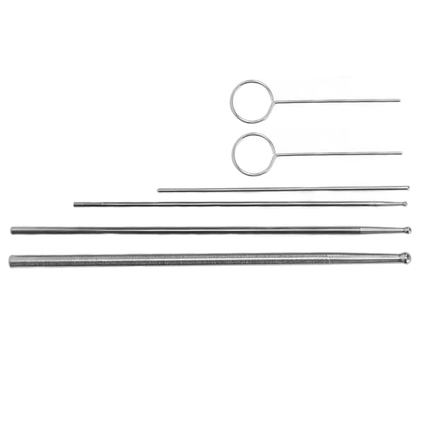 6PCS Ormprobsats Rostfritt Stål Runt Huvud Anti Allergi Reptiler Orm Könsbestämningsprob