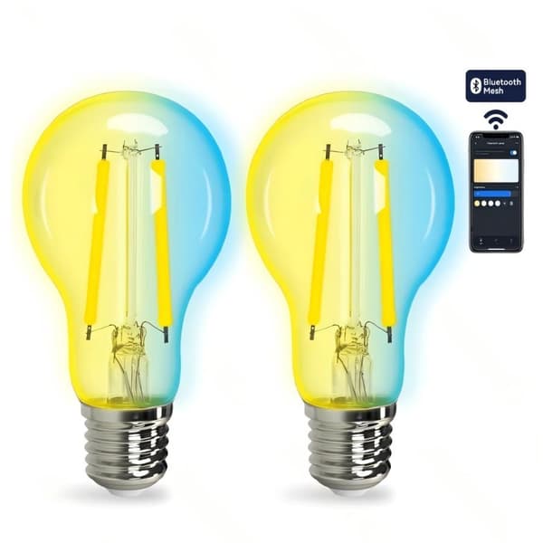 Kit med 2 Aigostar A60 E27 6W CCT Justerbara Mesh Bluetooth Smarta Glödlampor, Filament med Gradientglas + Fjärrkontroll
