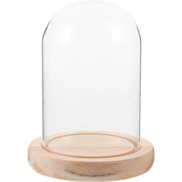 Konserverad blomglaskupol Displaykupol Transparent glaskupol med bas Multi 16.00X10.00X10.00CM