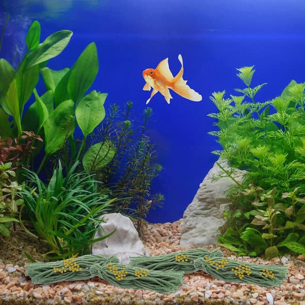 Fiskemoppe til akvarium, der understøtter æglægningsfunktion, 5-delt sæt