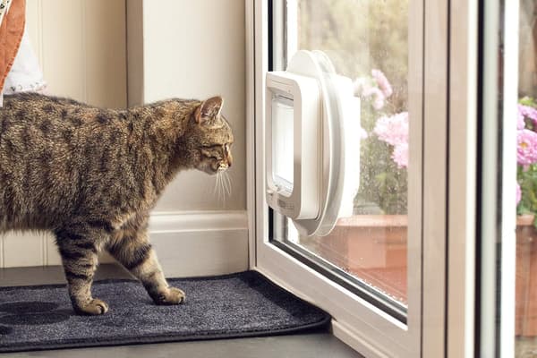 【03】Sure Petcare Microchip kattlucka, vit, skannar husdjurs-ID vid inträde