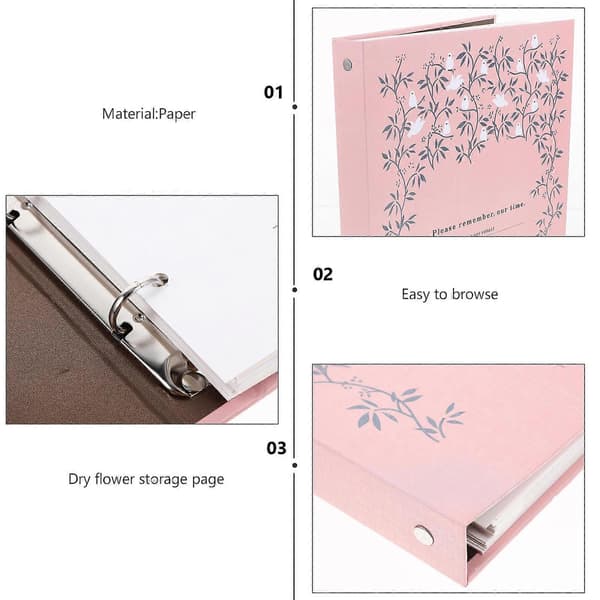 Pressad blomfotoalbum Växtprovsamling Album Löv Växtprovhållare