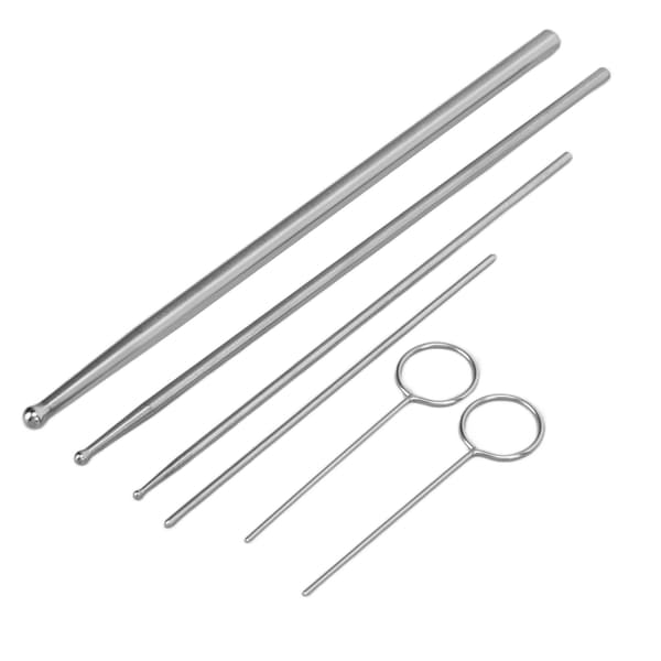 6PCS Ormprobsats Rostfritt Stål Runt Huvud Anti Allergi Reptiler Orm Könsbestämningsprob