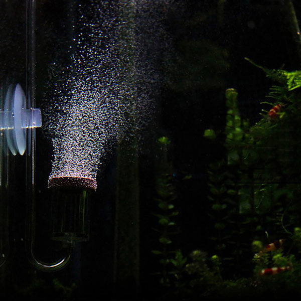 Akryl Akvarium Koldioxid Transparent Bubbelräknare Refiner Fisk Tank Vattenväxter CO2 Atomizer DiffuserM