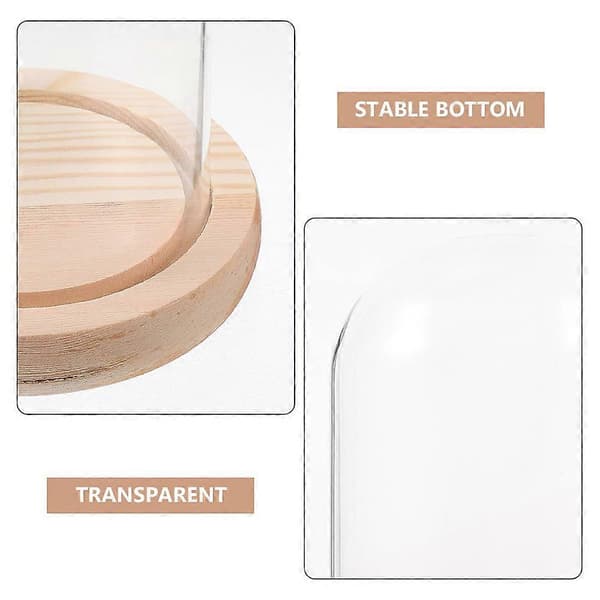 Konserverad blomglaskupol Displaykupol Transparent glaskupol med bas Multi 16.00X10.00X10.00CM