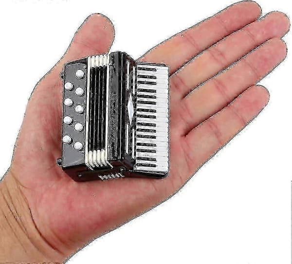 2024 Miniature Harmonika Kopi i Udstillingsboks - Lille Dukkehus Samlerobjekt