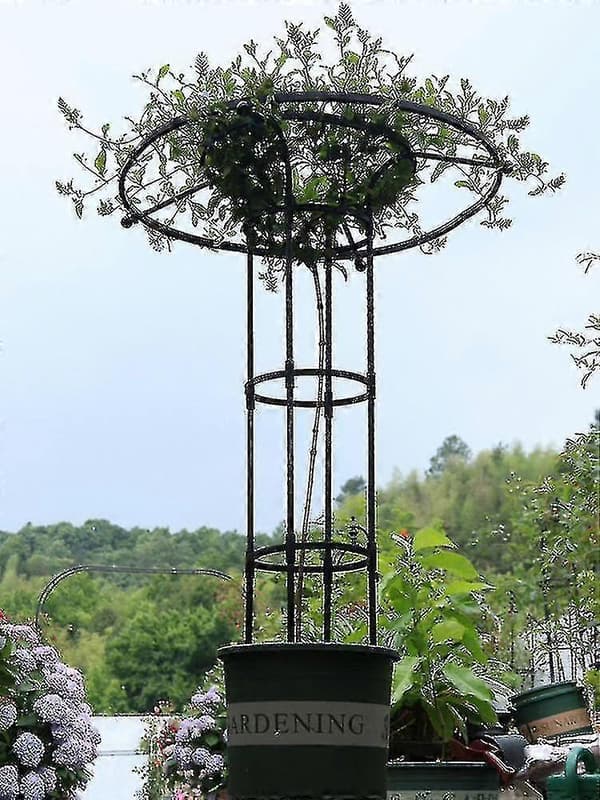 Trädgårdsspaljer för klätterväxter och blommor, Metallspaljer för utomhusbruk 120cm