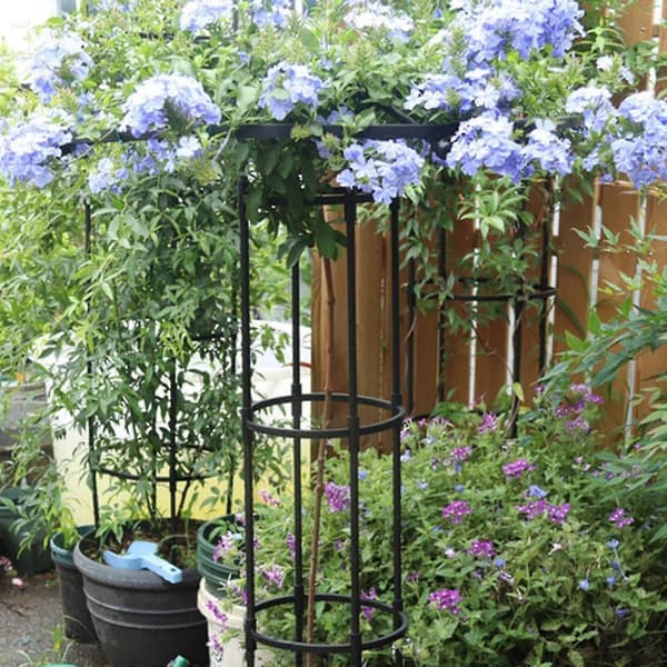 Trädgårdsspaljer för klätterväxter och blommor, Metallspaljer för utomhusbruk 180cm