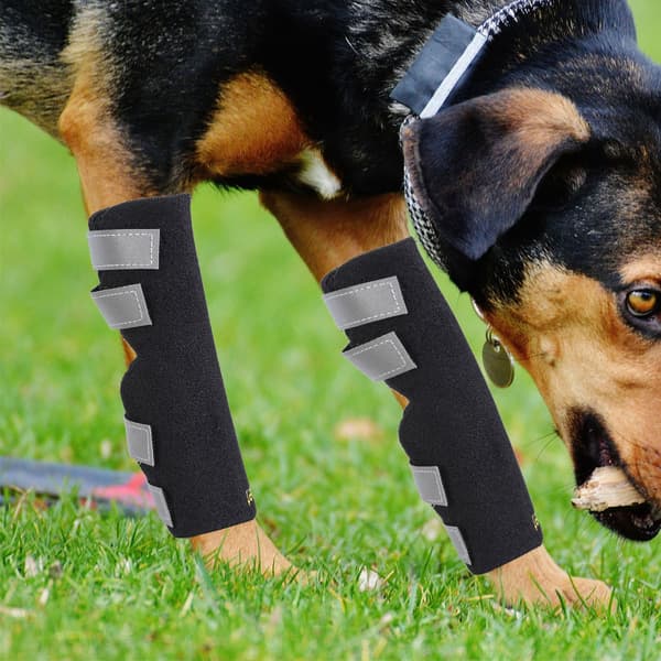 2 st Hund Bakben Stöd Hock Ärmar Ledskydd för Bakre Artrit Stukning Stöd (L)