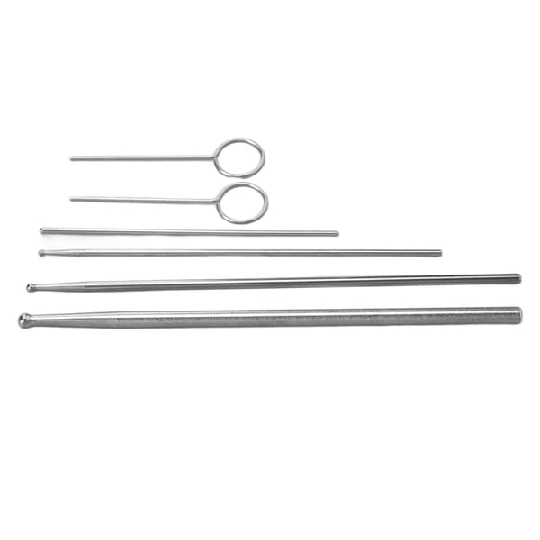 6PCS Ormprobsats Rostfritt Stål Runt Huvud Anti Allergi Reptiler Orm Könsbestämningsprob