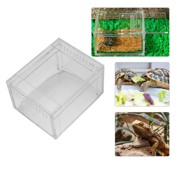 Akryl Transparent Flameer Reptiler Insektstank Uppfödningslåda Husdjur Ormar Sköldpaddor Terrarium