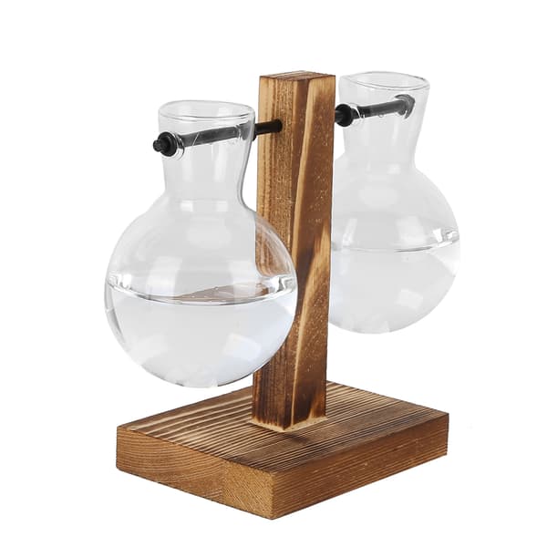 Innovativ Planteringsvas med Trästativ Transparent Glas Hydroponisk Vas Skrivbordsdekoration Typ C