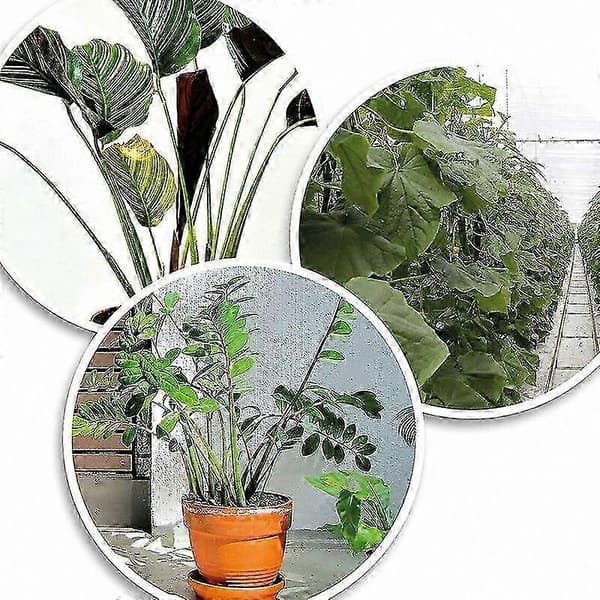13 cm grønne planteklemmer til at stabilisere og støtte planter (200-pak)
