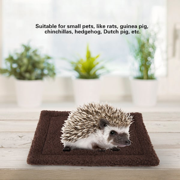 Igelkott Marsvin Säng Matta Rektangulär Plysch Kudde Hamster Husdjur Hus Näste Mörkbrun