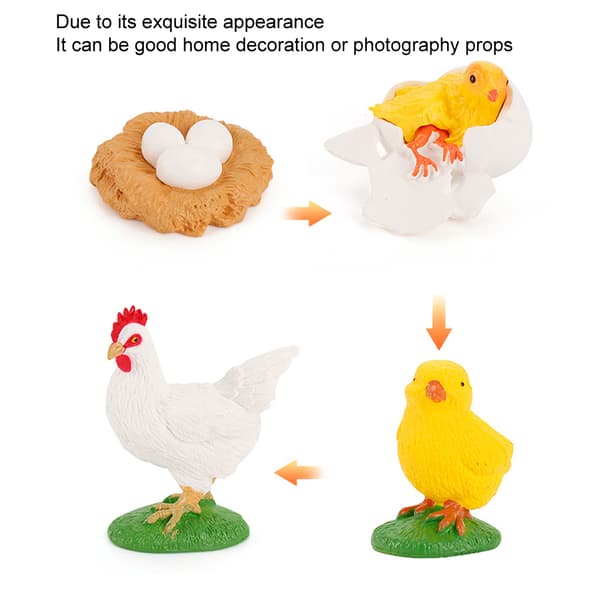 Hane Vækstcyklus Model Børn Miniature Simulation Dyr Tidlig Uddannelse Statue Legetøj