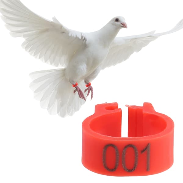 100 st/påse 8MM 001-100 Numrerade plastbrevduva fågelben band ringar (röd)