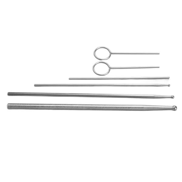6PCS Ormprobsats Rostfritt Stål Runt Huvud Anti Allergi Reptiler Orm Könsbestämningsprob
