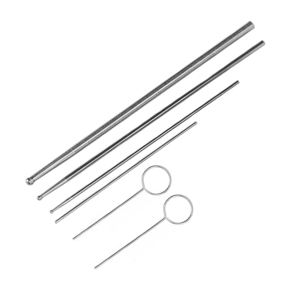 6PCS Ormprobsats Rostfritt Stål Runt Huvud Anti Allergi Reptiler Orm Könsbestämningsprob